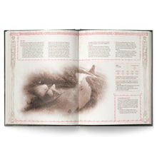 The One Ring™ – Hands of the White Wizard